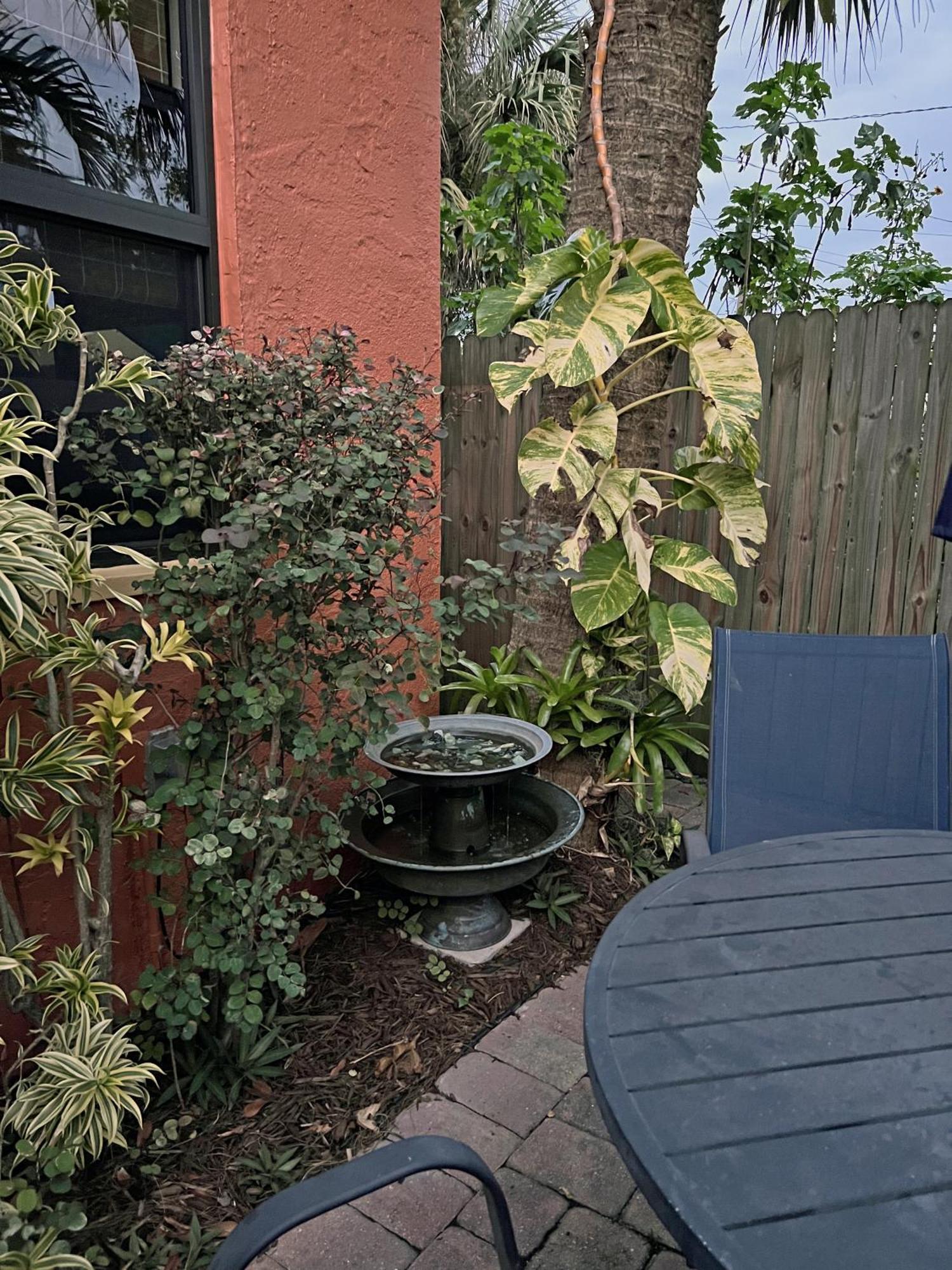 The Cottage At Pineapple House West Palm Beach Ngoại thất bức ảnh